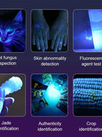 UV Detect — Mini Blacklight Flashlight
