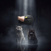 Pet Gadgets